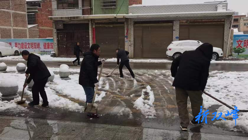 县委党校扎实开展“铲雪除冰 党员先行”主题党日活动