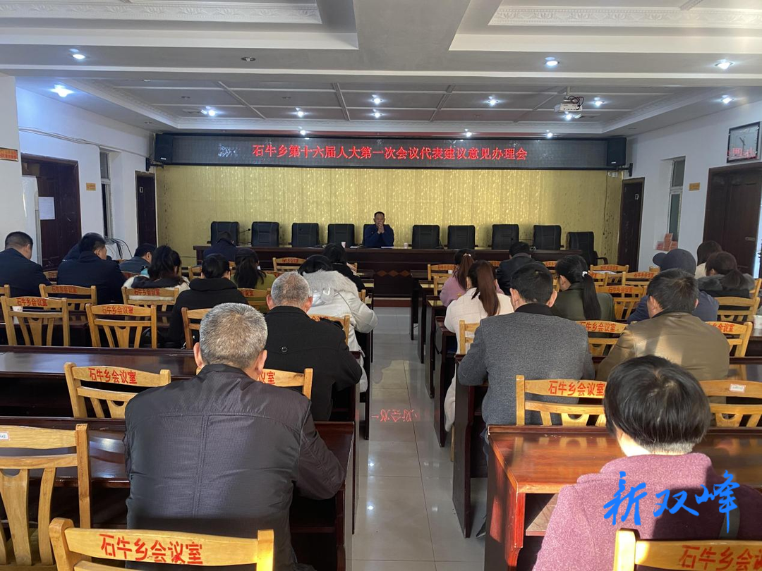 石牛乡人大组织召开代表建议意见现场办理会