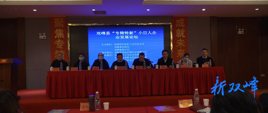 双峰举行“专精特新”小巨人企业发展论坛