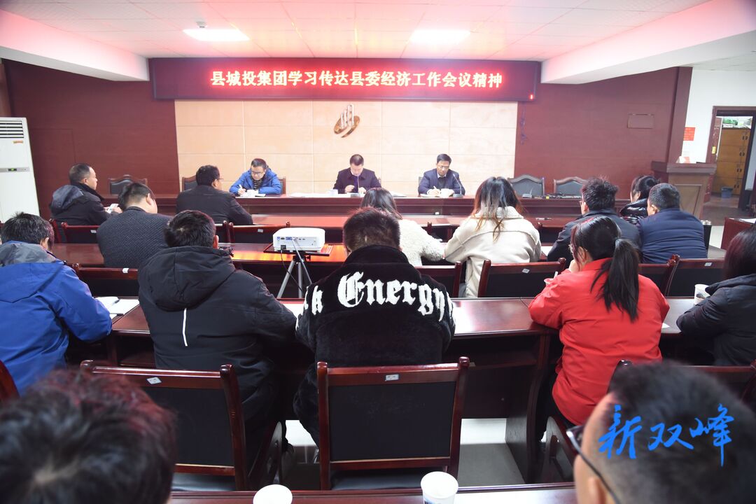 双峰县城投集团传达学习贯彻县委经济工作会议精神