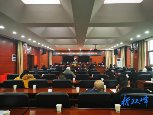 双峰县卫健系统召开2021年度基层党组织书记履行党建工作述职评议考核会议