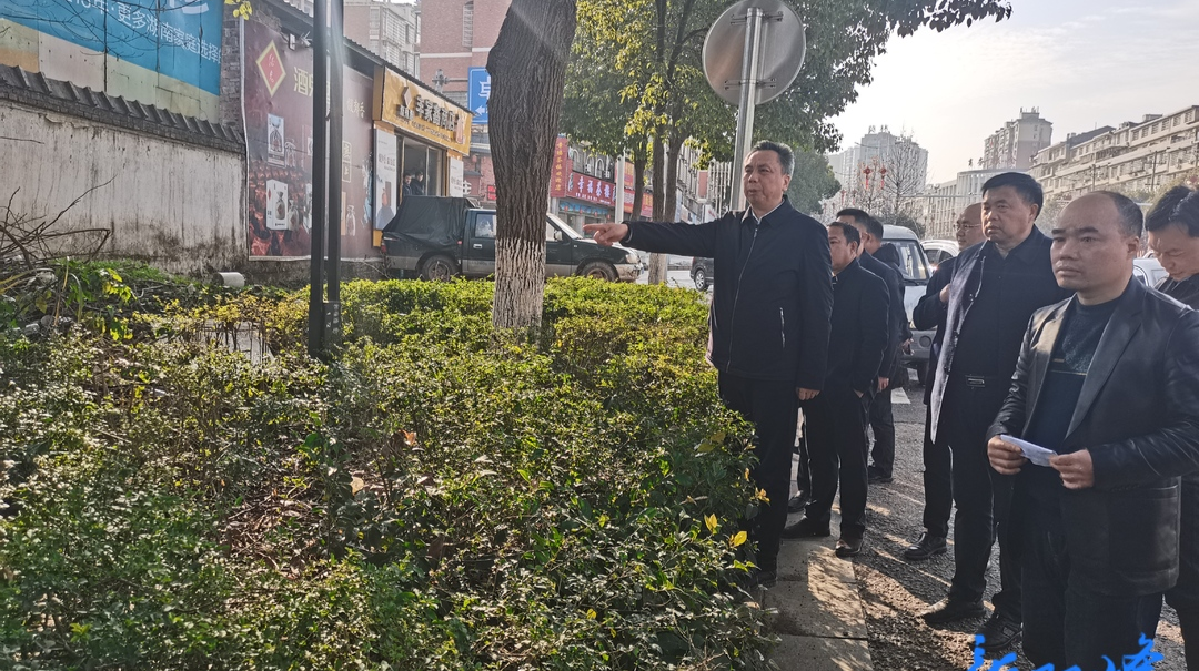 彭石清：把打造更美更优的城乡环境，作为一件重要民生实事、一项重大民心工程来抓