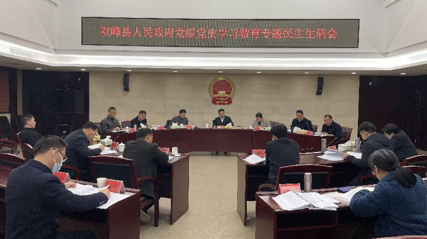 双峰县人民政府党组党史学习教育专题民主生活会召开