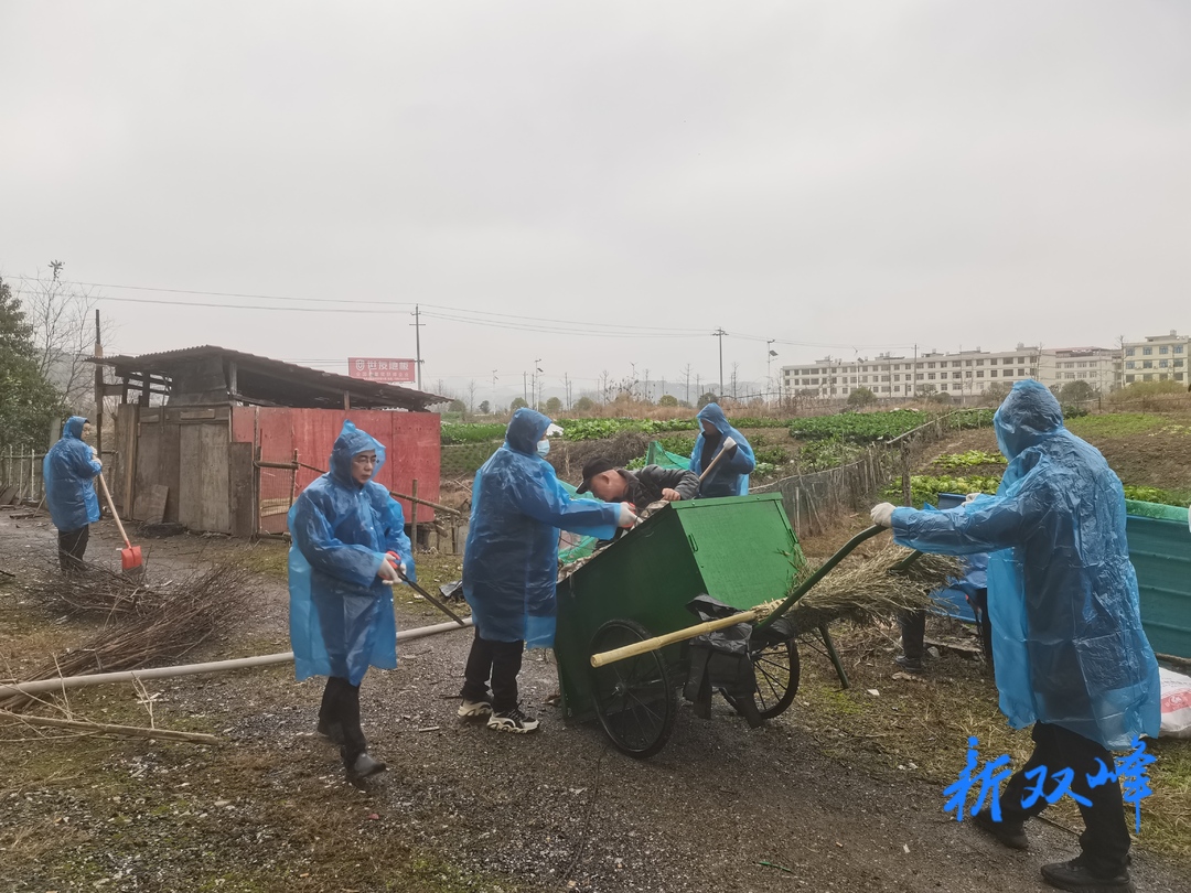 洪山殿镇：整治环境卫生促和谐