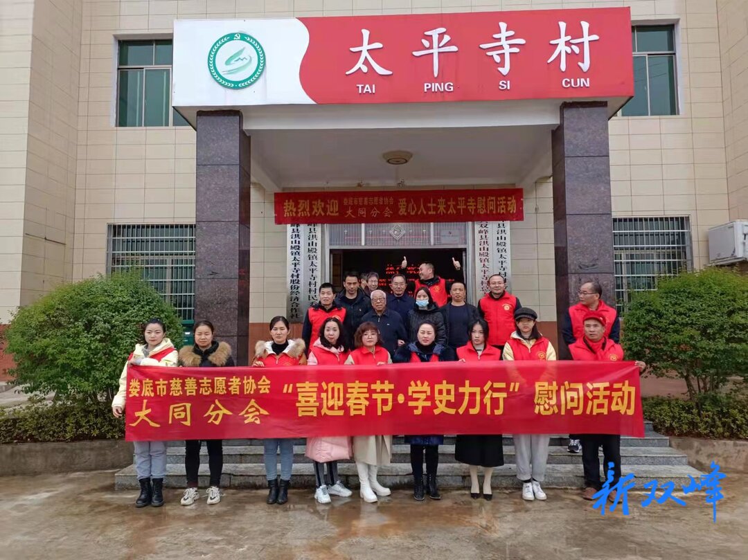 洪山殿镇开展“喜迎春节·学史力行”慰问活动