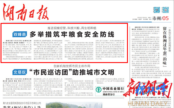 新春走基层 | 筑牢粮食安全屏障，让粮农稳产增收