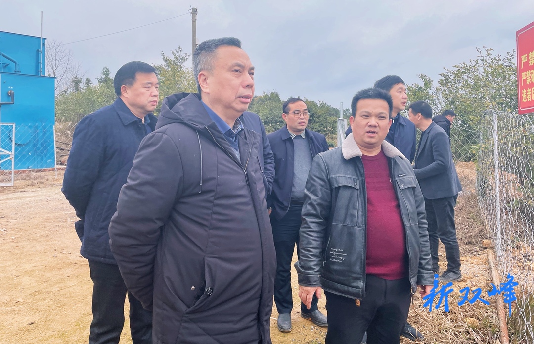 彭石清调研村级集体经济发展和农村人居环境卫生整治工作