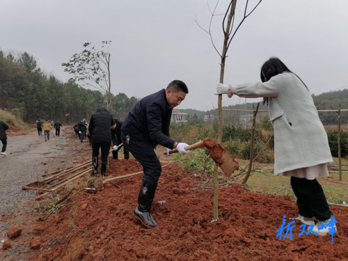 甘棠镇开展新年义务植树活动
