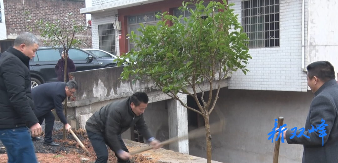 花门镇：新春义务植树