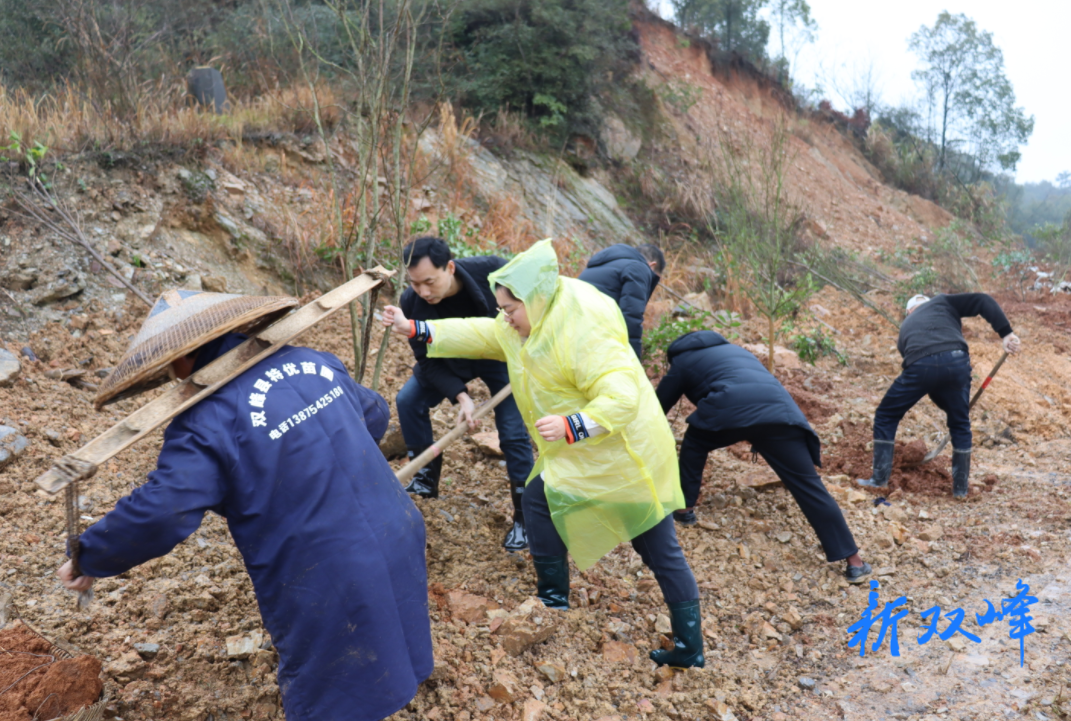 走马街镇：干群义务植树添新绿