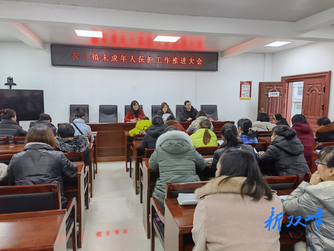 荷叶镇召开未成年人保护工作推进会