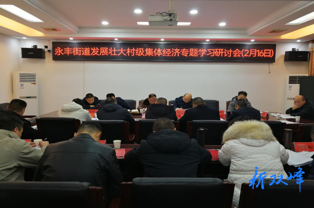 永丰街道召开发展壮大村级集体经济专题学习研讨会