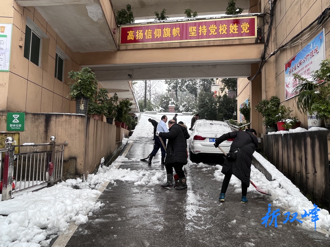 县委党校将党旗插在应对冰雪天气第一线