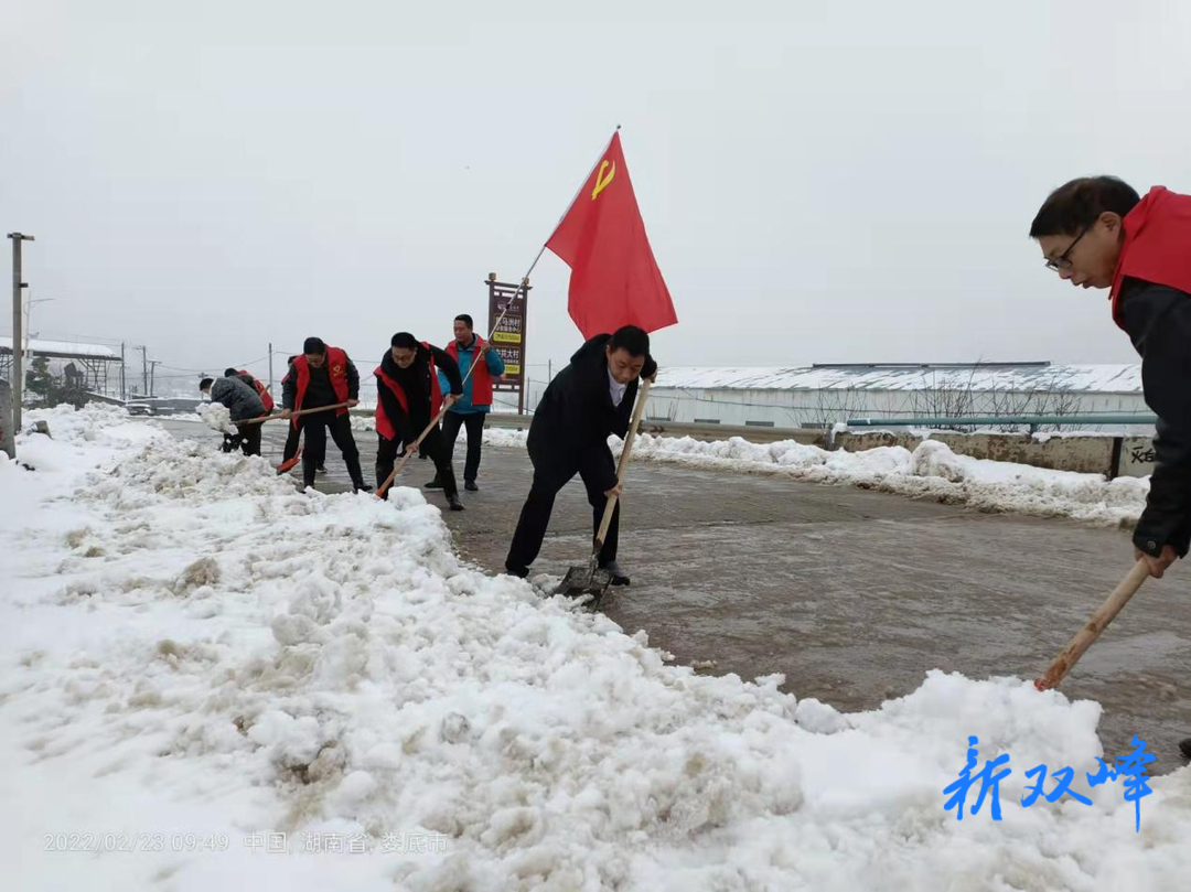 梓门桥镇开展“铲雪除冰”主题党日活动