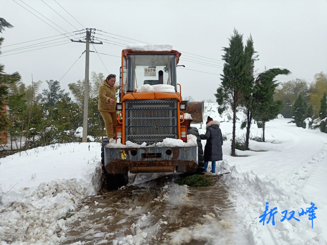 锁石镇大溢塘村：铲雪清障护学