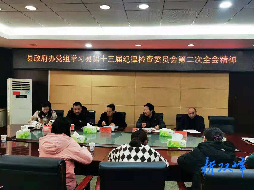 县政府办党组学习贯彻县第十三届纪律检查委员会第二次全会精神