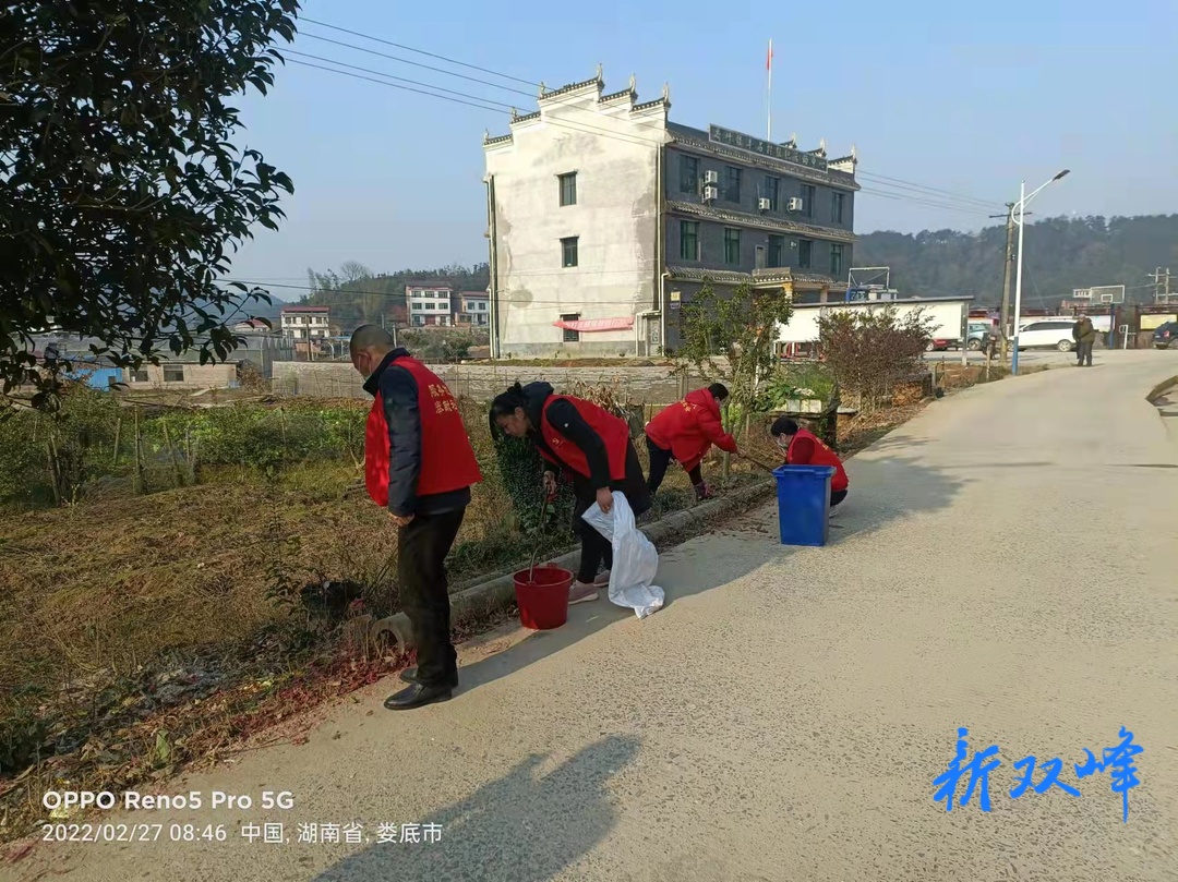 荷叶镇丰石村：党群齐上阵 开展环境卫生大扫除