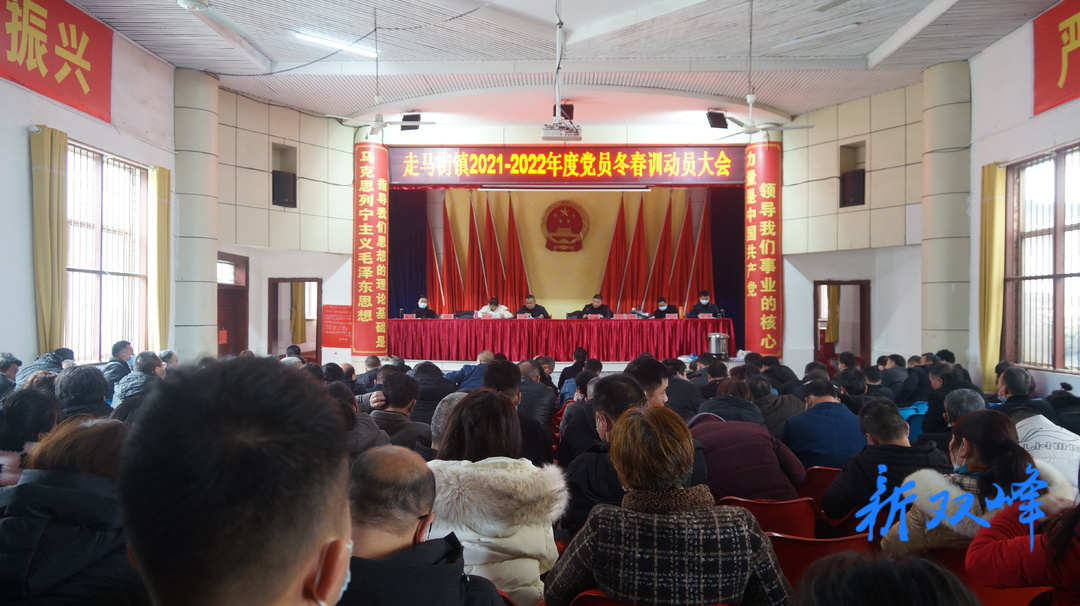走马街镇吹响党员冬春训“集结号”