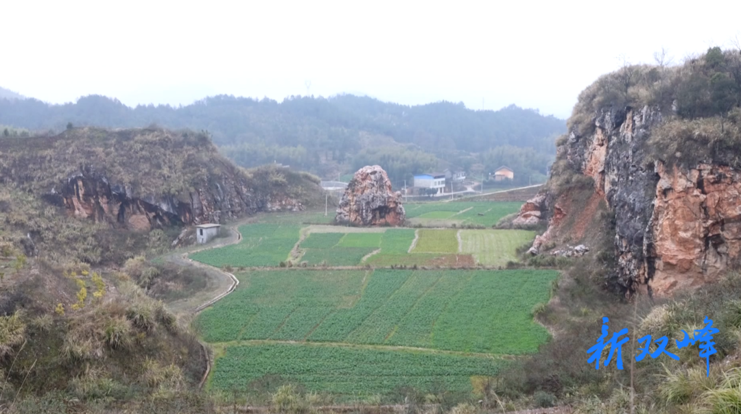 双峰：废弃用地变良田 多措并举保耕地