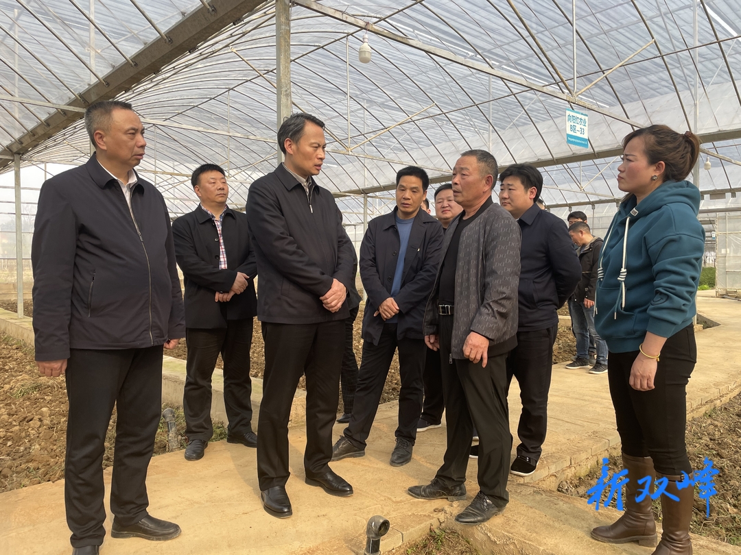 抢抓农时 播种希望 切实保障粮食生产安全 尹华凯到双峰县调研春耕备耕、农村人居环境整治提升、教育等工作
