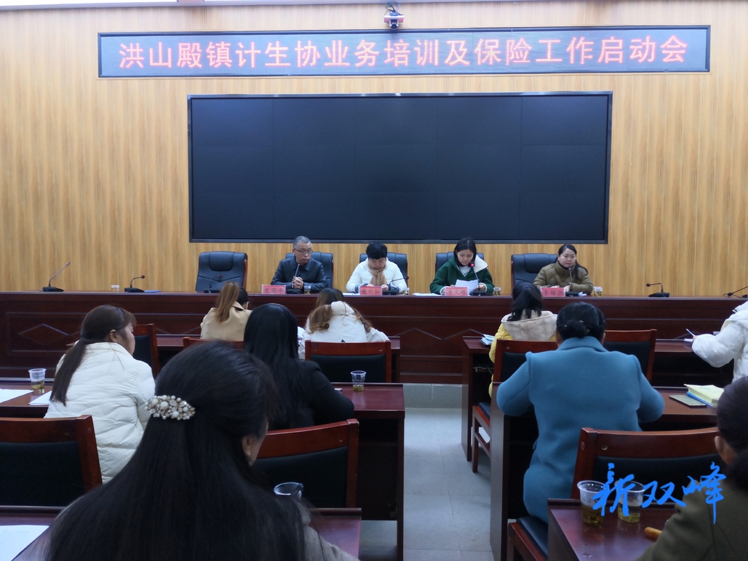 洪山殿镇启动计生协业务培训暨保险工作