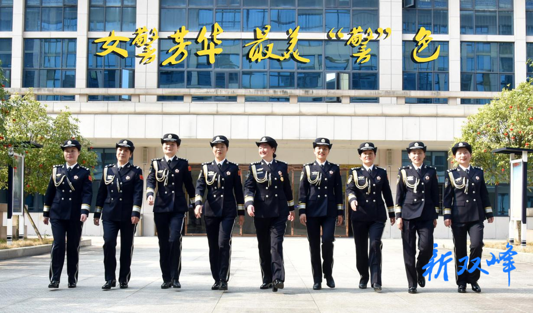 【女警芳华】陈智兰：愿为公安萤烛之光