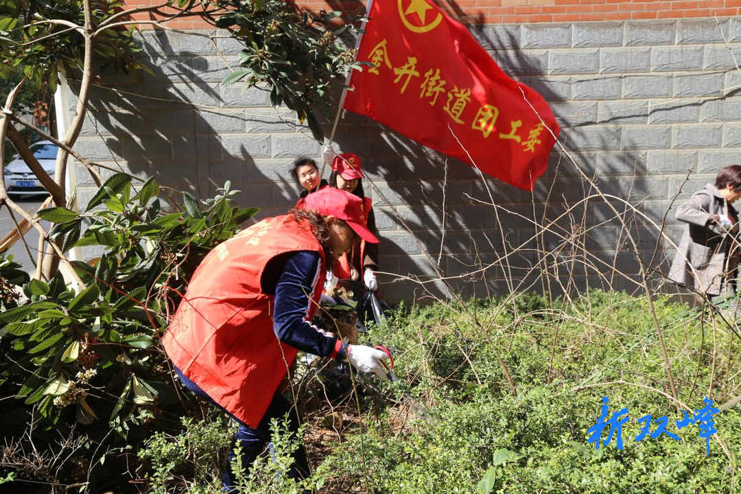 金开街道：助力城乡人居环境整治 志愿者在行动