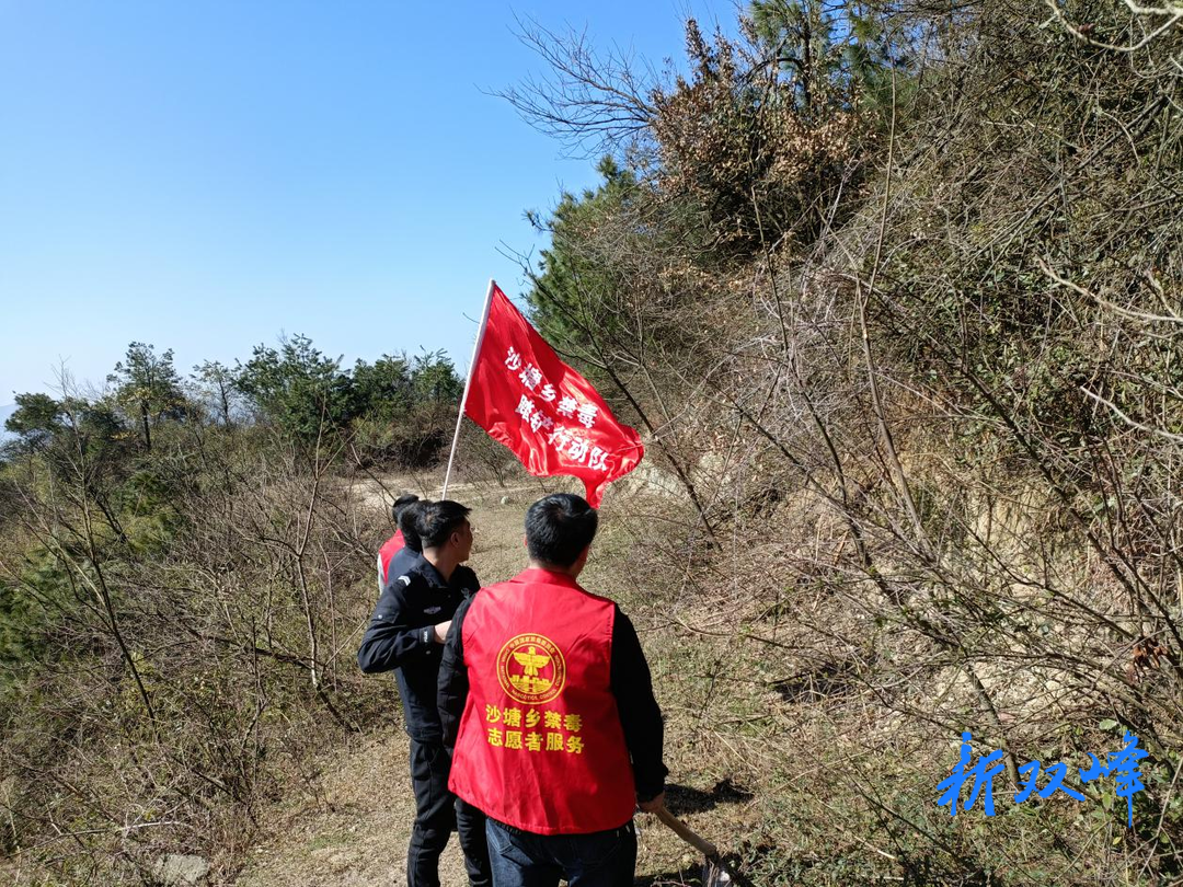 沙塘乡：三月春耕时禁种铲毒不留患
