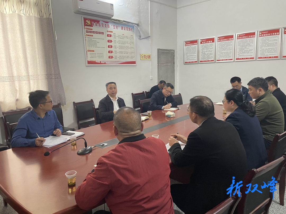 彭石清到沙塘乡调研村级集体经济发展情况