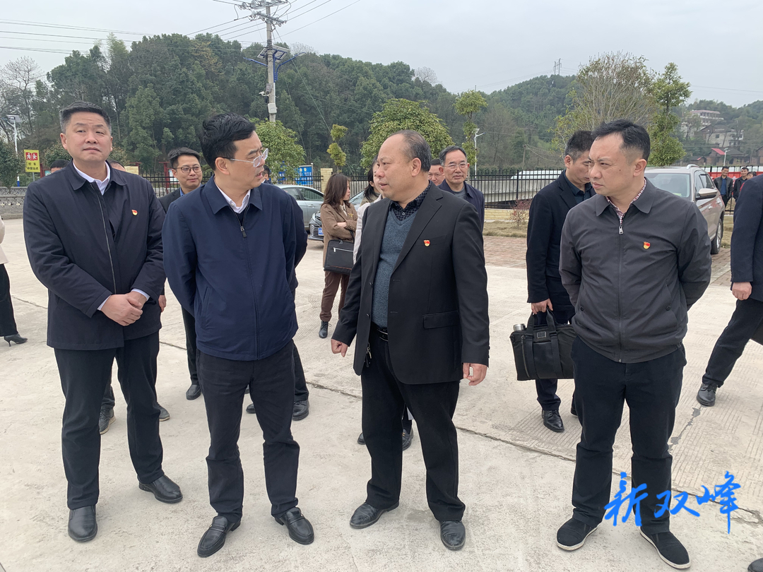 谢忠阳到双峰调研：握指成拳集聚资源 让“赏花经济”四季飘香
