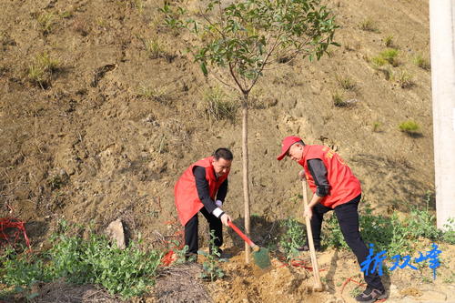 荷叶镇：荷塘村开展“一抹新绿迎春来”植树活动