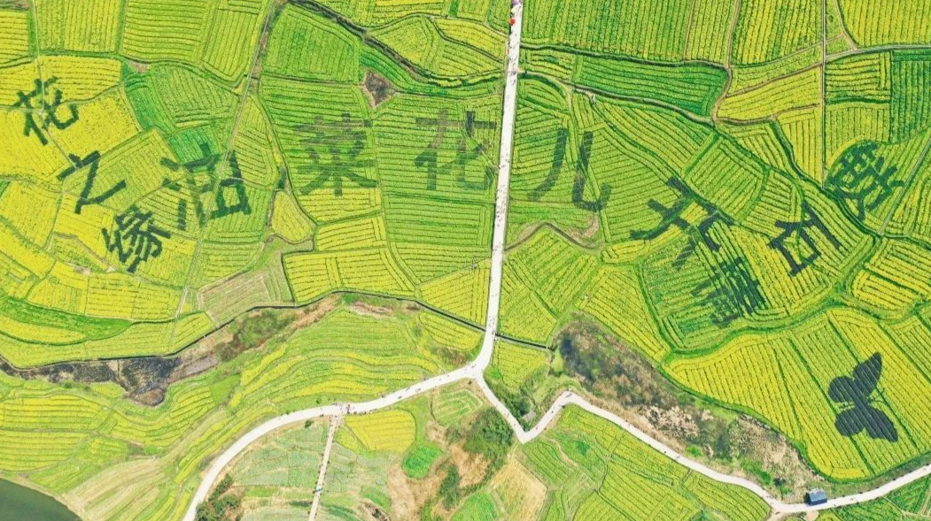 双峰游玩攻略，这才是春天正确的打开方式~