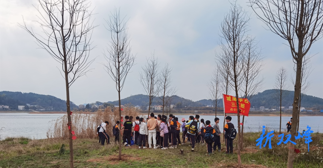 城南学校师生到水府庙湿地公园植树 扮靓春色添新景