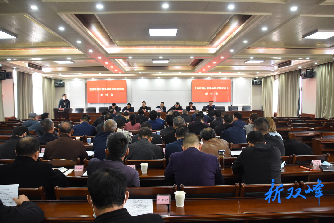 青树坪镇：集思广益研讨村级集体经济发展新思路