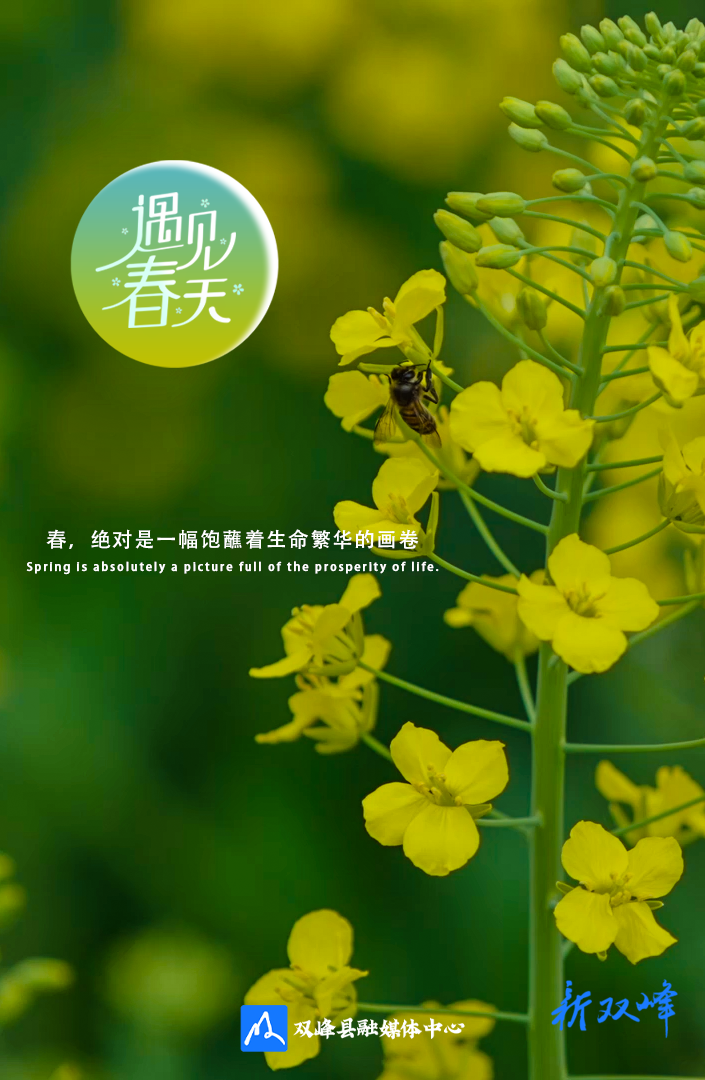 海报 | 遇见春天
