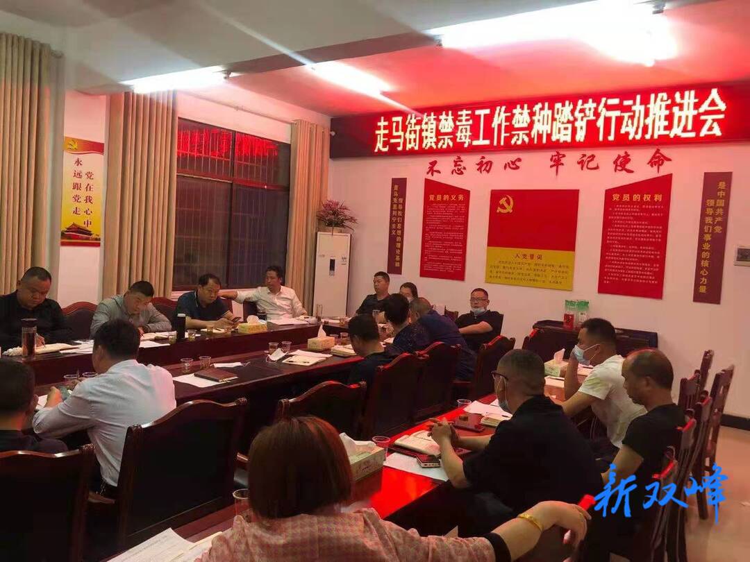 走马街镇扎实开展禁种铲毒踏查行动