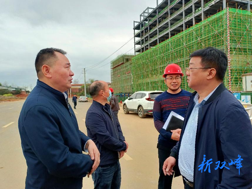 市高质量发展重点项目建设组来双峰调研重点项目