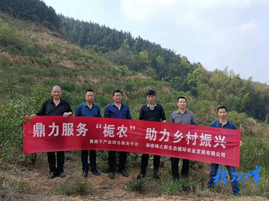 沙塘乡：特色产业谋发展乡村振兴来助力