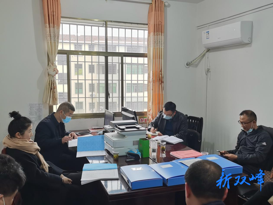 双峰县人大常委会赴洪山殿镇调研人大工作