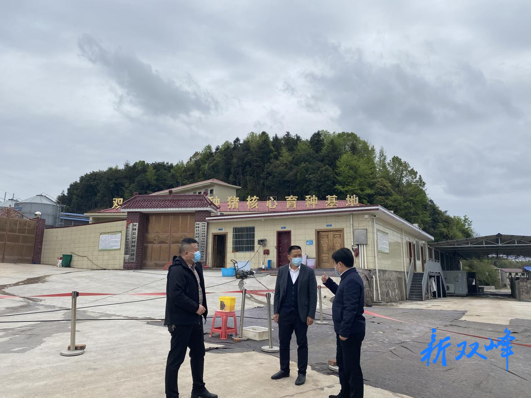 县领导督查养殖企业疫情防控工作