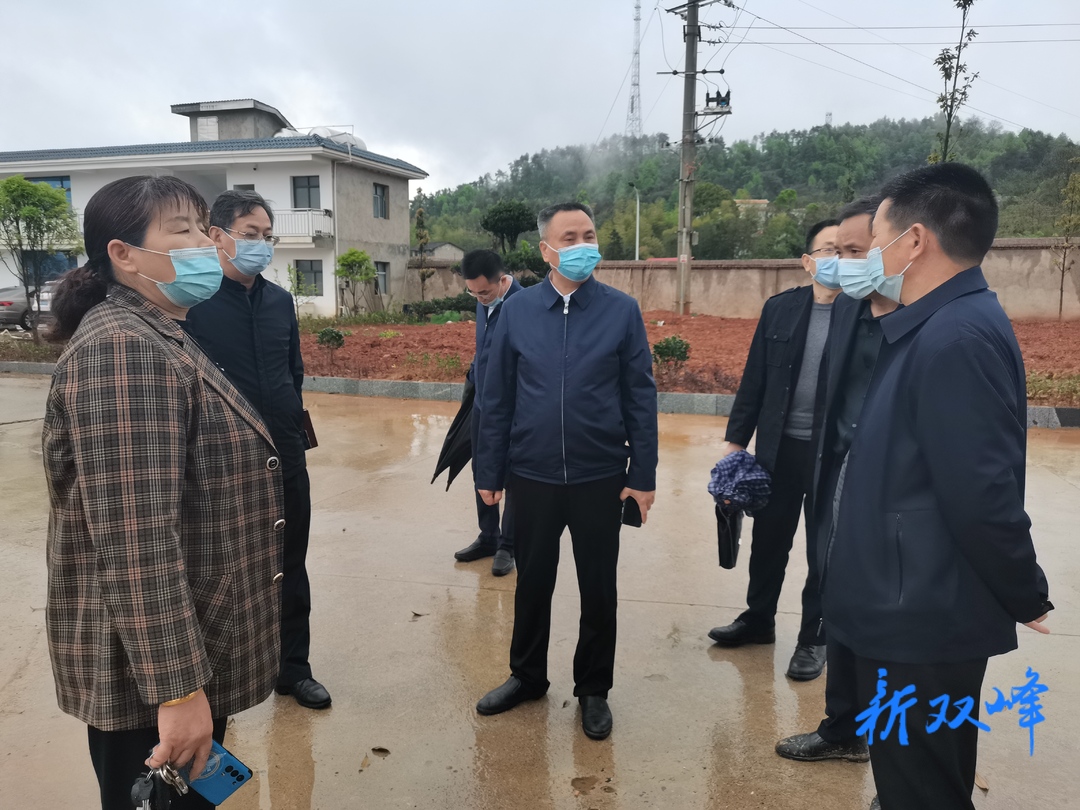 彭石清到乡镇督查疫情防控工作：从严从实从紧从细落实防控措施