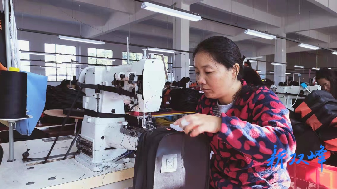巾帼不让须眉：向凤英每年为当地女村民增加收入600万元
