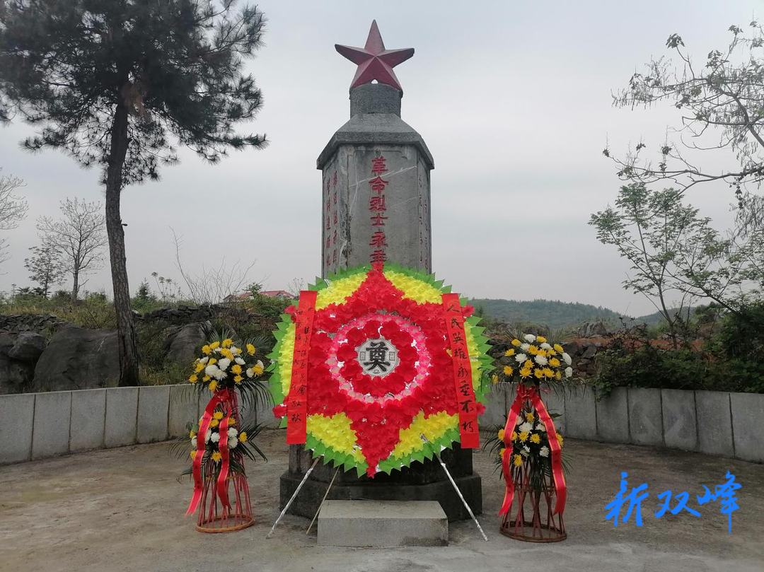 甘棠镇： 清明祭扫 缅怀先烈