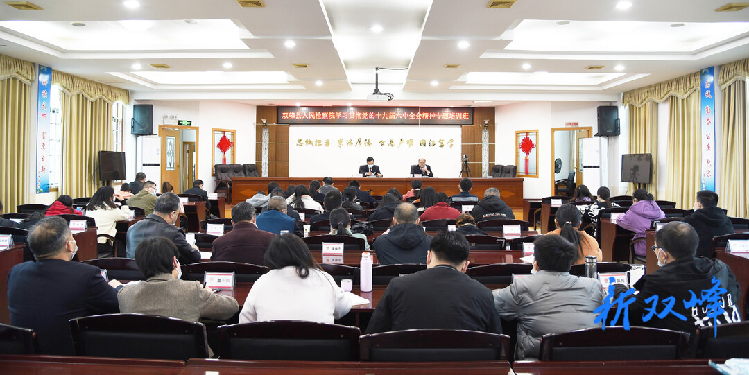 学习贯彻党的十九届六中全会精神：双峰县检察院