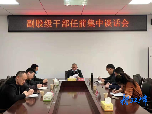 双峰县审计局开展副股级干部任前集体廉政谈话