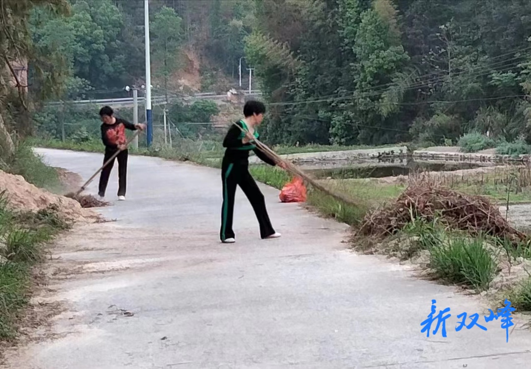城乡人居环境整治丨荷叶镇集中开展陈旧垃圾清理行动
