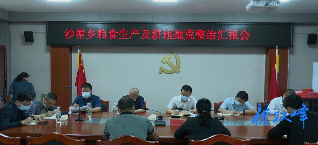 戴志雄到乡镇调研粮食生产和耕地抛荒整治工作