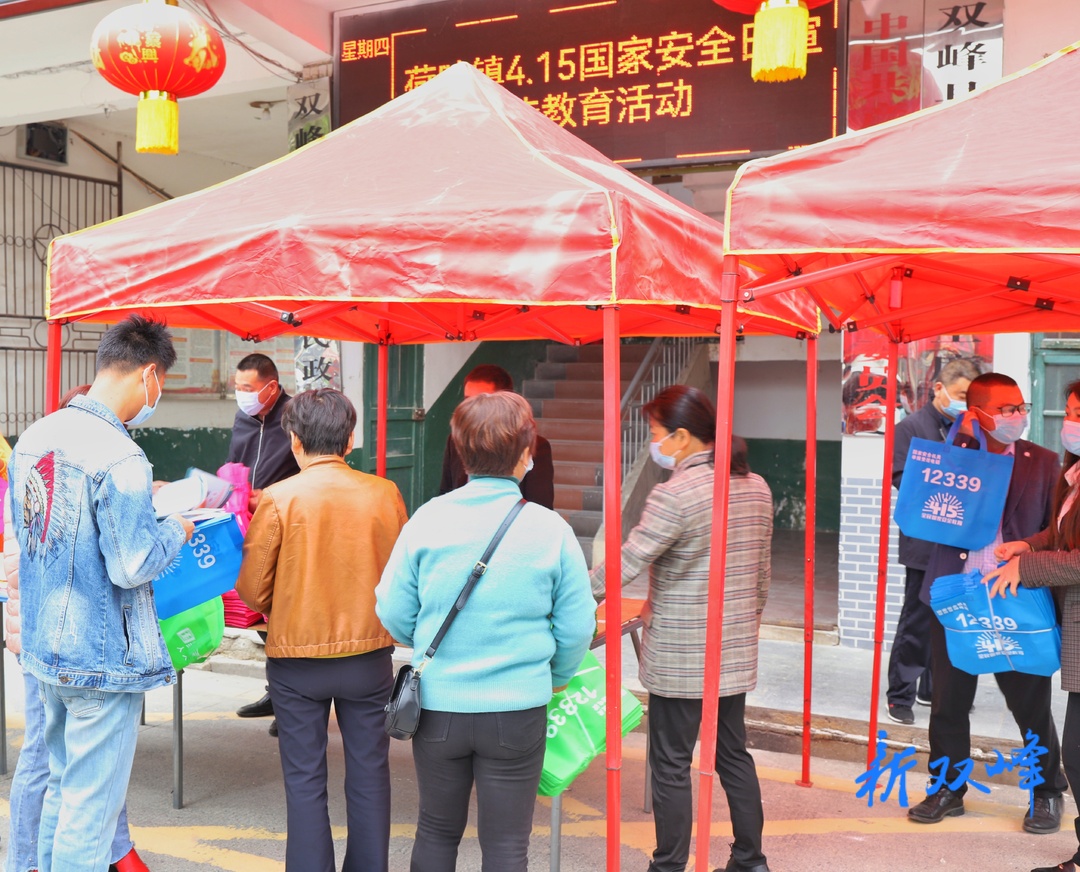 荷叶镇开展“4.15国家安全日”宣传教育活动