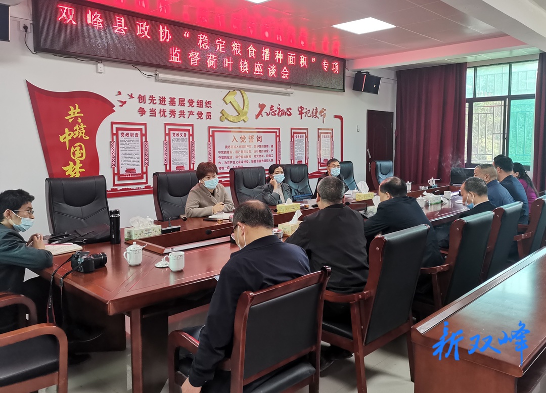 双峰县政协到荷叶镇开展“稳定粮食播种面积” 专项督查