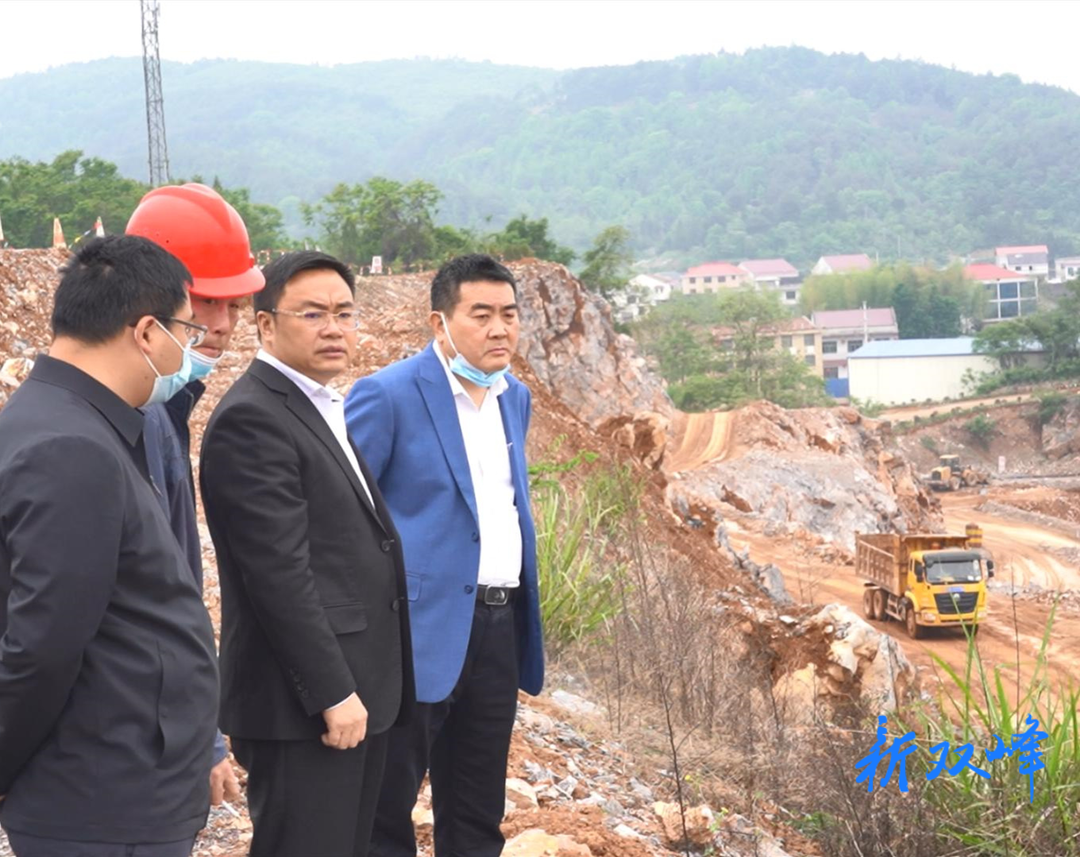 李基联到甘棠镇调研国土空间规划、土地综合开发利用和耕地抛荒治理工作